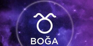 Boğa Burcu