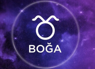 Boğa Burcu