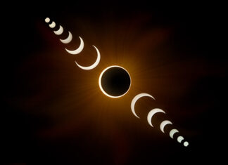 TUTULMALAR VE ÖNEMİ